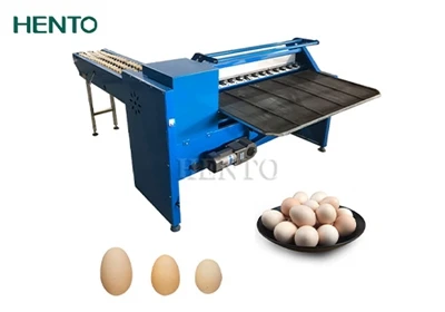 Egg Grading Machine yog dab tsi?