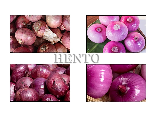 Peeled Onion Price Peeled Onion Price